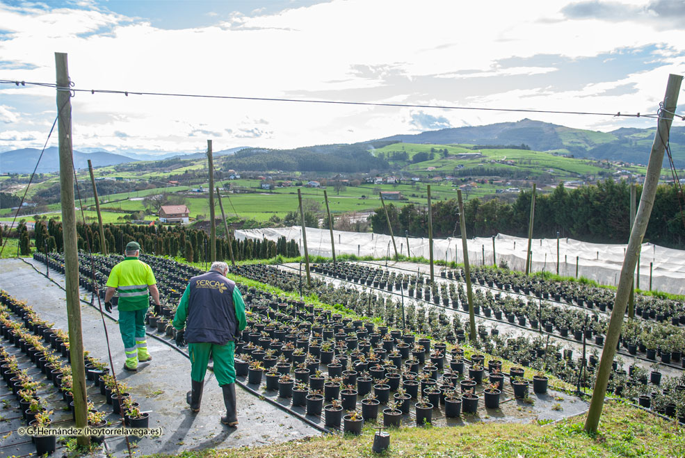 SercaInstalacionesBancales