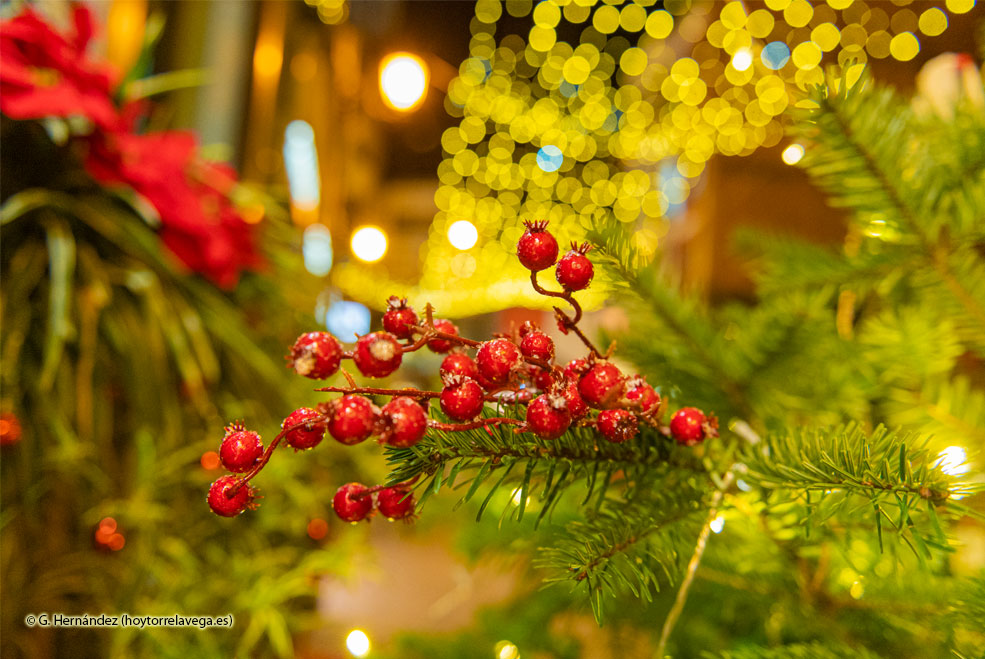 Más de 600 establecimientos inscritos en el Concurso de Árboles de Navidad NavidadDetalle21