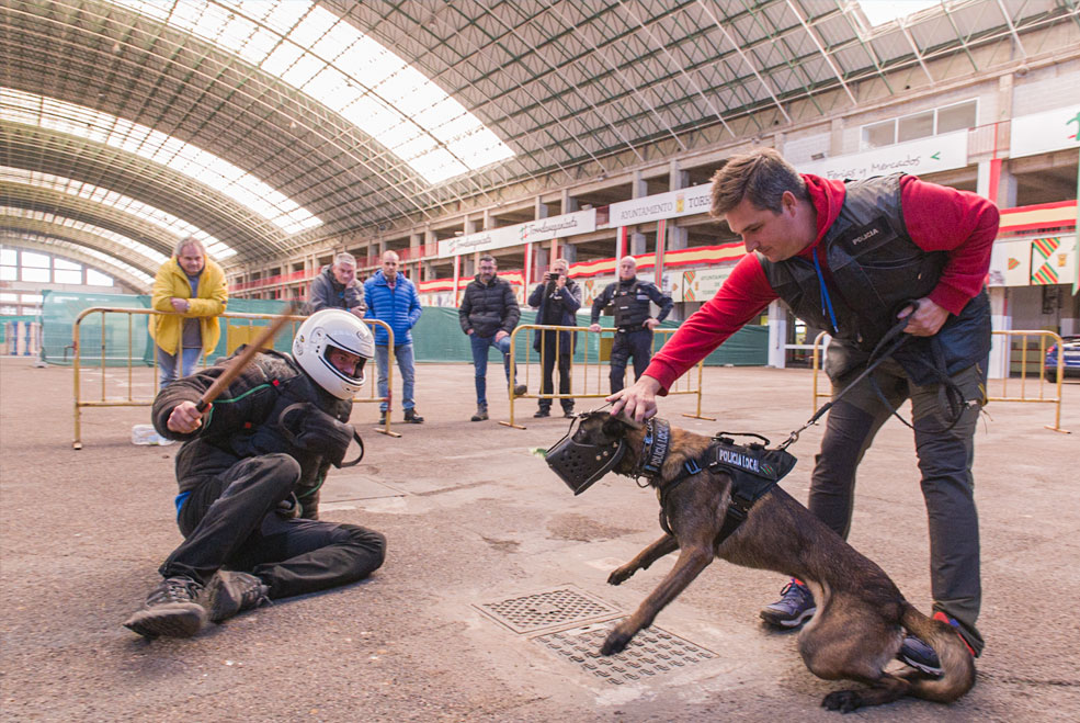 Demostración de la Unidad Canina de la Policía Local UnidadCaninaDemostracion