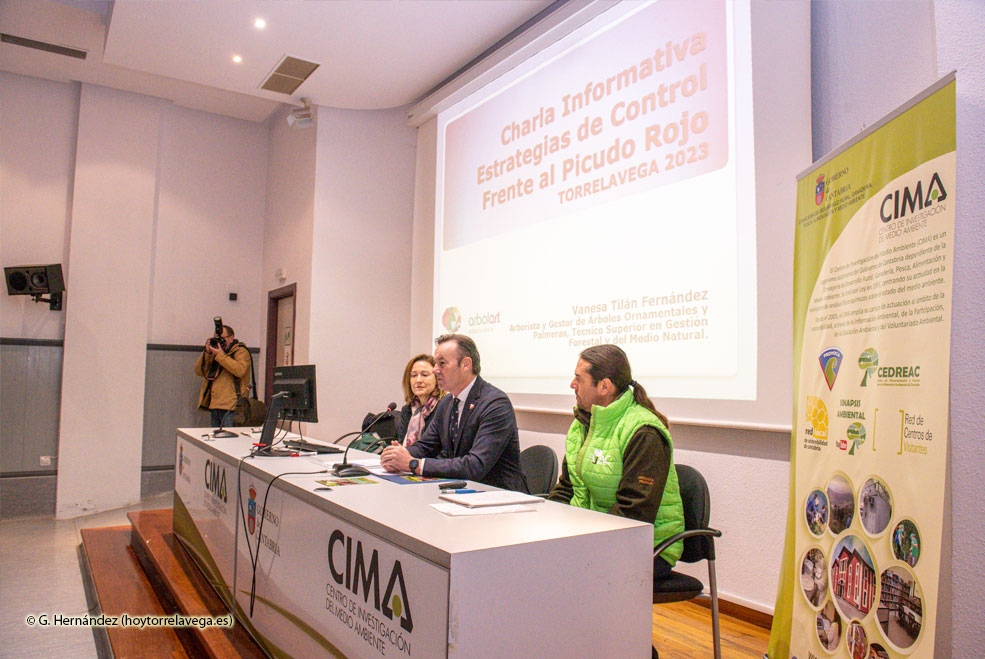 El Gobierno alerta de una plaga de picudo rojo, un escarabajo asiático que daña a las palmeras CharlaPicudoConsejero