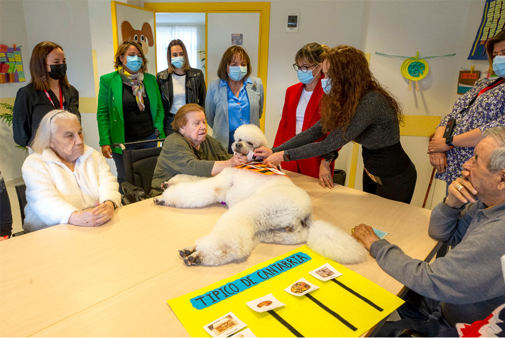 CADTerapiaperrossantander