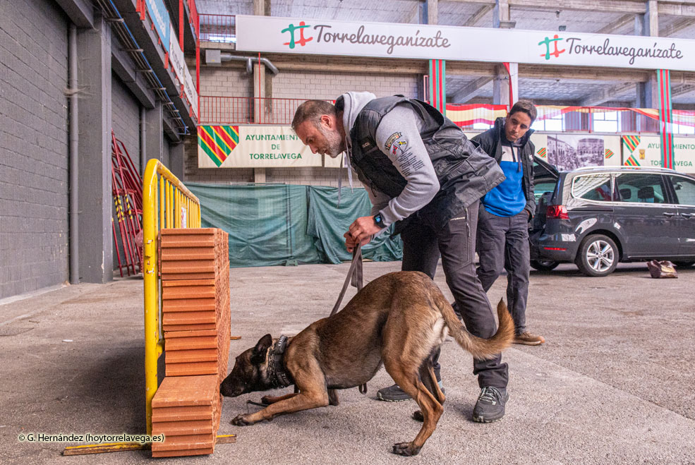 PoliciaLocalPerros