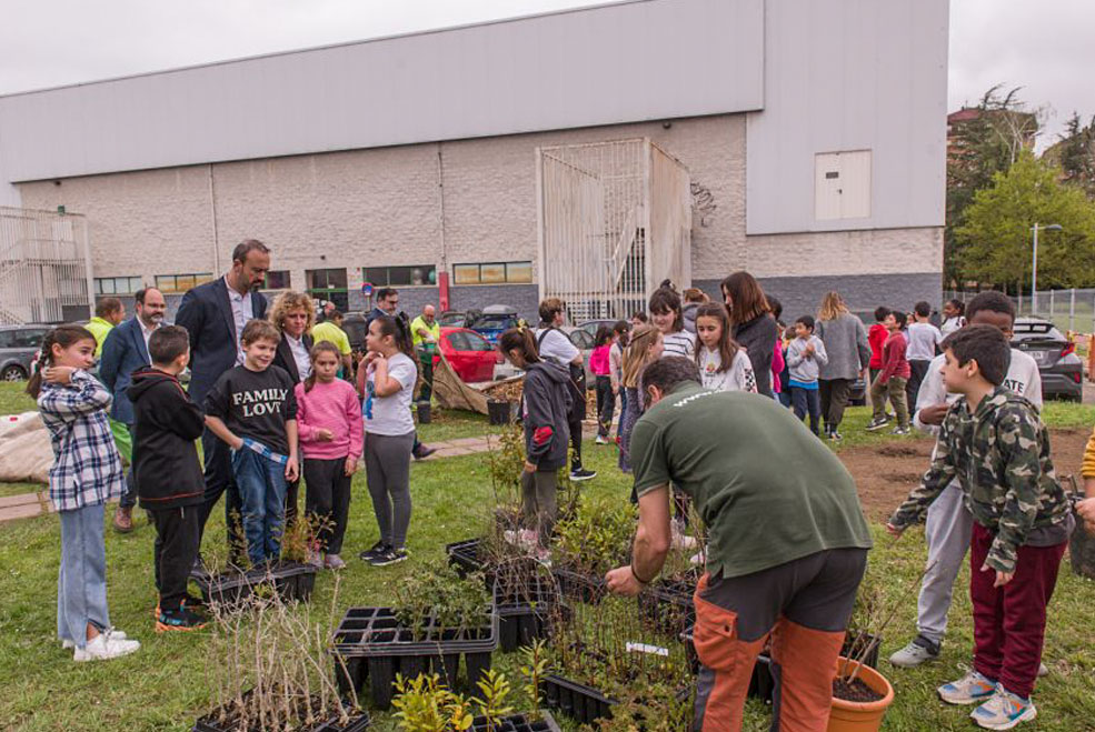 ConexionNaturalPlantacion