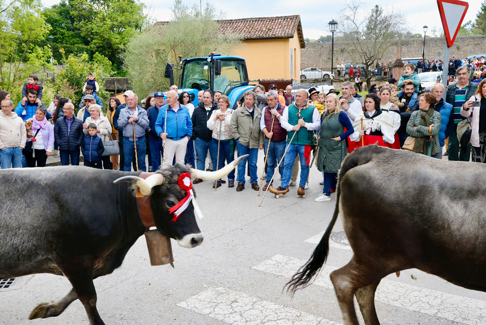 CartesPasa2024