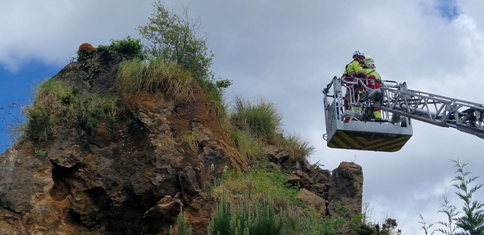 Cabarcenorescateosezno