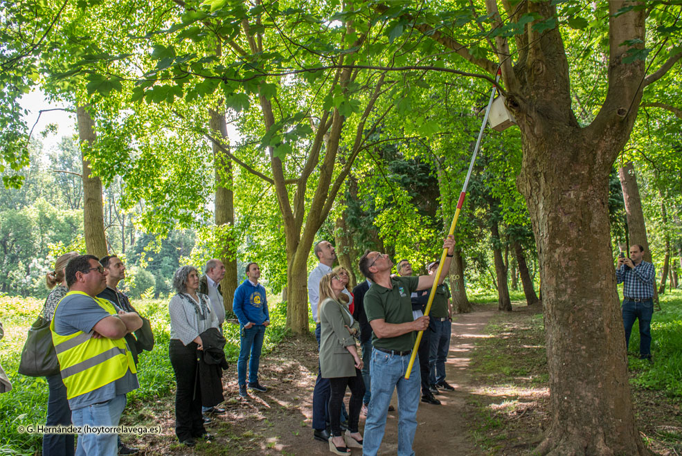TorrelavegaConexionNaturalPresen