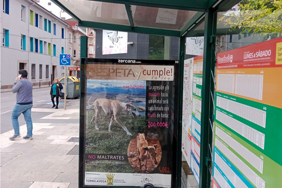 CampanaBienestarAnimal