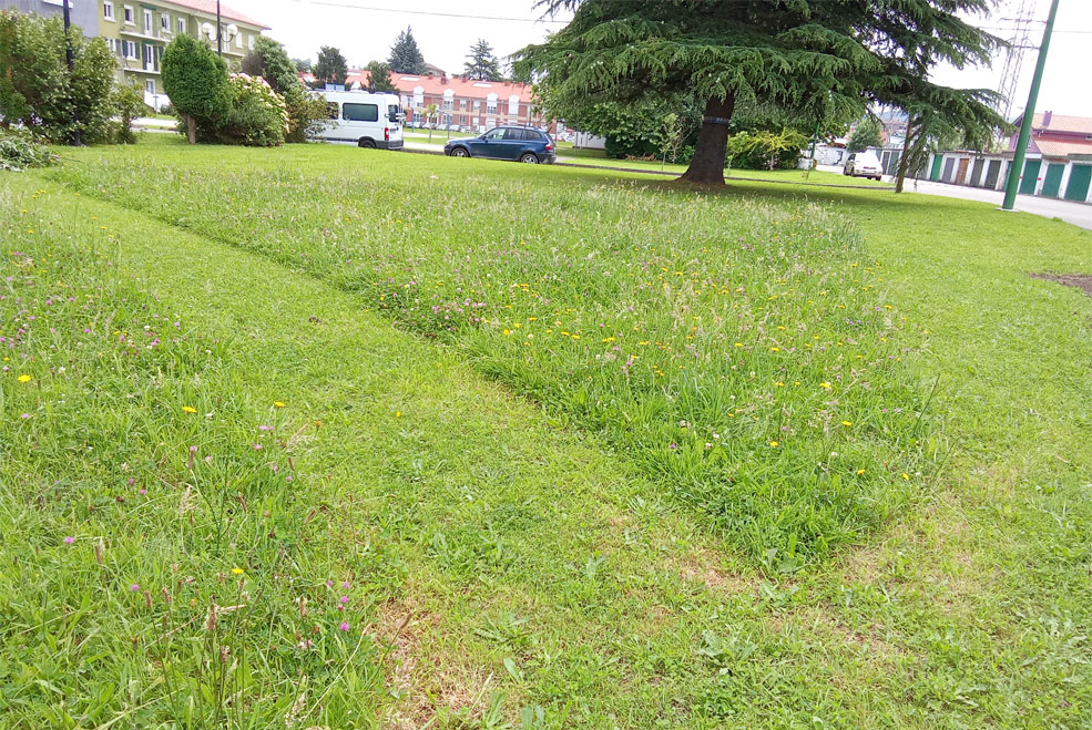 SiegasDiferenciadasPabloGarnica