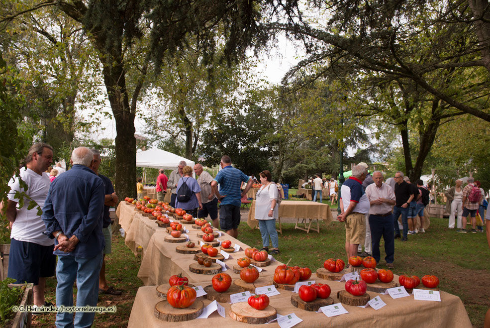 FestivalTomateCantabriaInaguracion