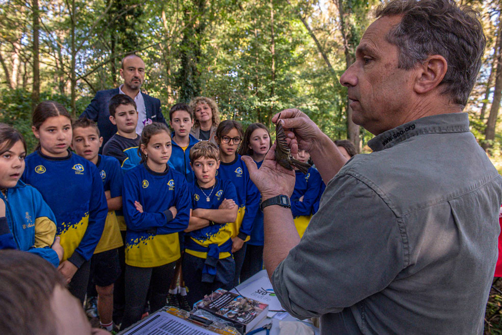 AnillamientoAvesLasTablas