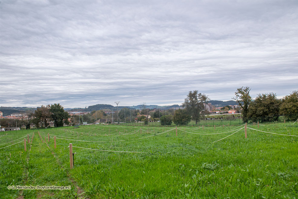 Abierto el plazo para solicitar un huerto urbano de la Red Municipal de Huertos Sostenibles HuertosUrbanosSierrapando