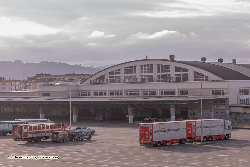 El Ayuntamiento de Torrelavega renueva el cartel del Mercado Nacional de Ganados FerialLetras