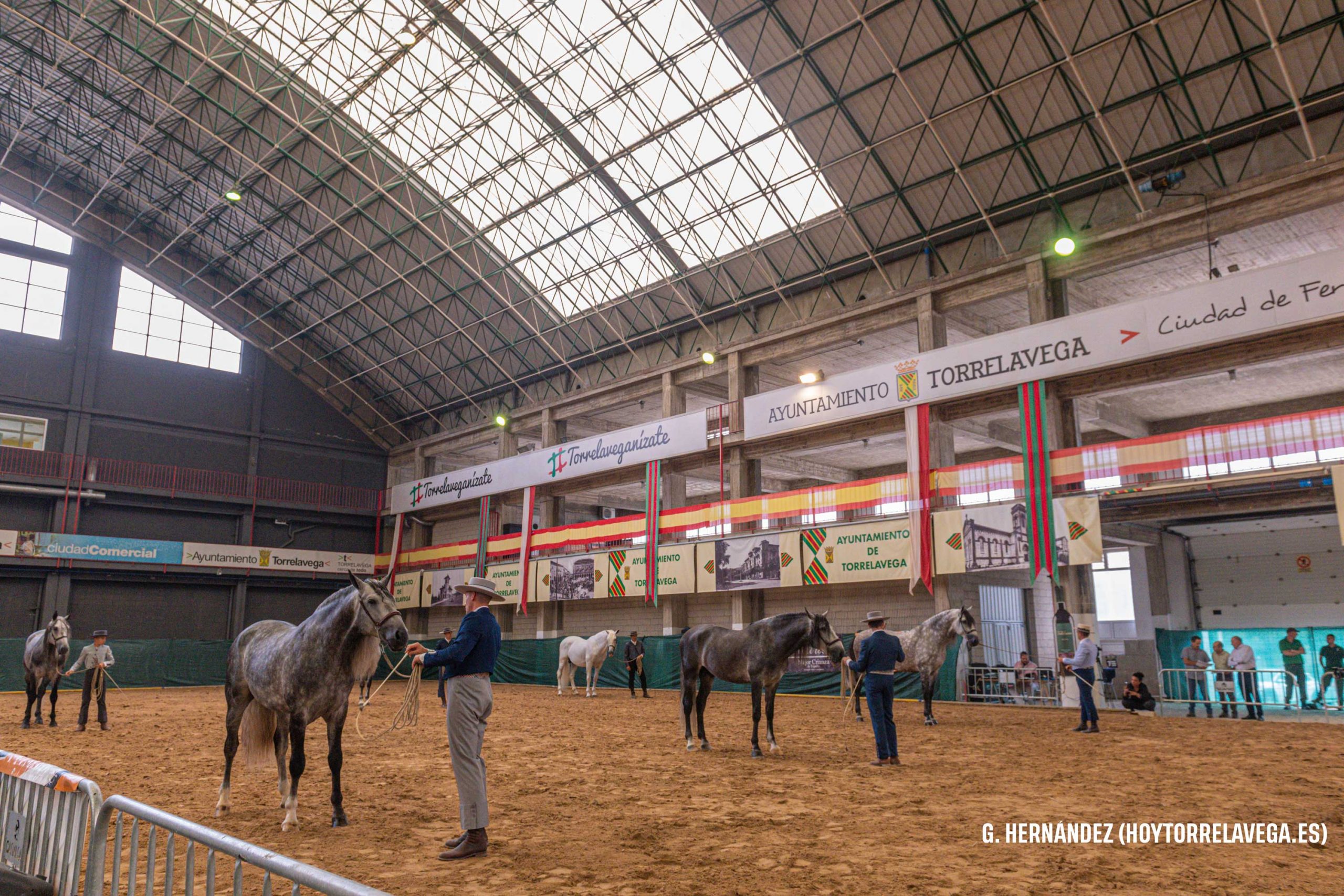 El XXV Concurso Morfológico supera cifras con la participación de 90 caballos de pura raza española