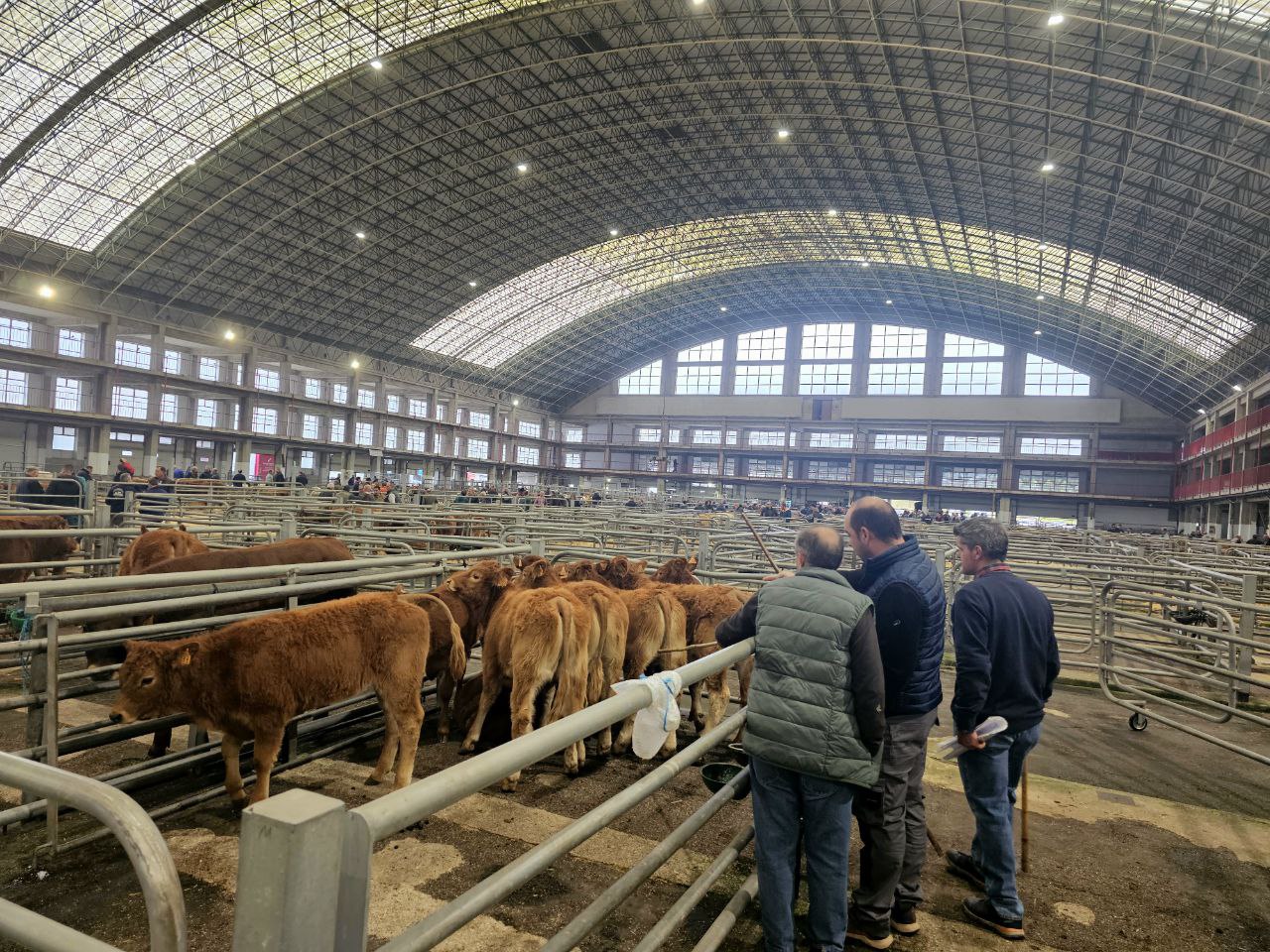 El Mercado de Ganados reabre con actividad restringida