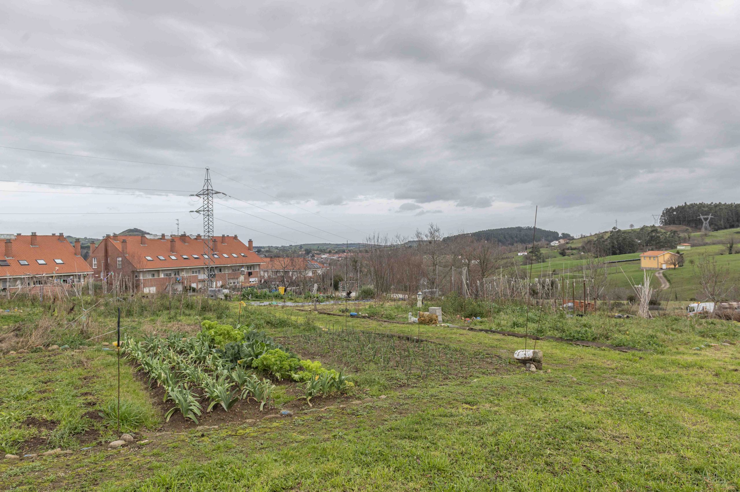 El Ayuntamiento de Reocín reactiva los Huertos Ecológicos Municipales